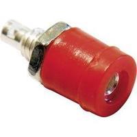 Mini jack socket Socket, vertical vertical Pin diameter: 2 mm Red Schnepp BU 2400 1 pc(s)