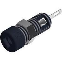 Mini jack socket Socket, vertical vertical Pin diameter: 2 mm Black SKS Hirschmann MBI 1 1 pc(s)