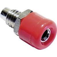 Mini jack socket Socket, vertical vertical Pin diameter: 2.6 mm Red Schnepp 1 pc(s)