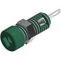 Mini jack socket Socket, vertical vertical Pin diameter: 2 mm Green SKS Hirschmann CO MBI 1 1 pc(s)