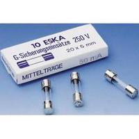Micro fuse (Ø x L) 5 mm x 20 mm 6.3 A 250 V Medium time-lag -mT- ESKA FEINSICH.MITTELTR.5X20 1P.M.10ST Content 10 pc(s)
