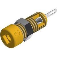 Mini jack socket Socket, vertical vertical Pin diameter: 2 mm Yellow SKS Hirschmann CO MBI 1 1 pc(s)