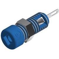 Mini jack socket Socket, vertical vertical Pin diameter: 2 mm Blue SKS Hirschmann MBI 1 1 pc(s)