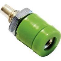 mini jack socket socket vertical vertical pin diameter 2 mm green schn ...