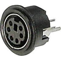 Mini DIN connector Socket, vertical vertical Number of pins: 4 Black ASSMANN WSW A-DIO-TOP/04 1 pc(s)