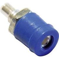 Mini jack socket Socket, vertical vertical Pin diameter: 2 mm Blue Schnepp BU 2400 1 pc(s)