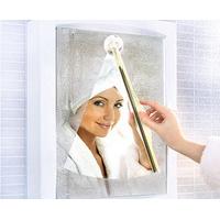 Mirror Wiper Cleaner with Suction Cup