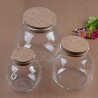 Micro Landscape Ecology Bottle Glass Pots For Succulents Moss DIY Glass Vase (10cm)