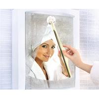 Mirror Wiper Cleaner with Suction Cup