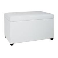 Miguel Contemporary White Finish Trunk Bench With Storage