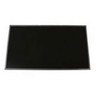 MicroScreen MSC30135, LTN156AR21 - notebook spare parts (LTN156AR21, Display, HD)