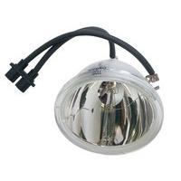 MICROLAMP ML10386 Projector Lamp for Panasonic 210 Watt 2000 Hours PT-D4000 PT-D4000E PT-D4000U - (Projectors > Projector Lamps)