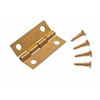 Mini Hinges for Jewelry Boxes with Pins Brass 25MM ( 24 pairs )