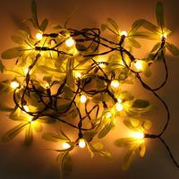 Mistletoe String Lights