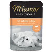 miamor ragout royale kitten in jelly 22 x 100g with poultry