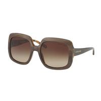 Michael Kors Sunglasses MK2036 321213