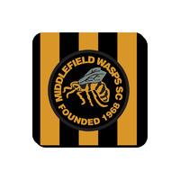 middlefield wasps official coaster black yellow