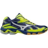 Mizuno Wave Bolt 5 men\'s Shoes (Trainers) in multicolour