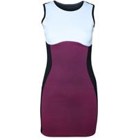 Miranda Colour Block Bodycon Dress - Purple