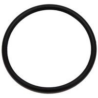 mini maglite 2 cell aaa rubber o ring head