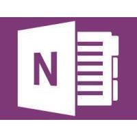 Microsoft OneNote 2013 - Medialess Retail Box - Commercial Use Edition