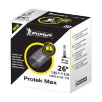 michelin protek max tube