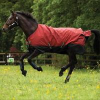 Mio Medium Turnout Pony Rug