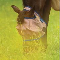 Mio Fly Mask No Ears