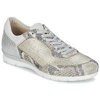 Mjus FORCE women\'s Shoes (Trainers) in Silver