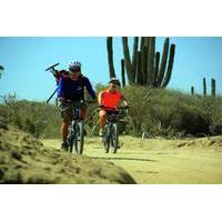 mountain bike adventure los cabos