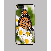 monarch butterfly