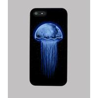 Moon Jellyfish