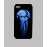 Moon Jellyfish