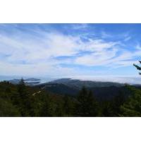 Mount Tamalpais Views and Redwoods Hike