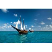 Morning Pirate Sail and Snorkel Cruise in Aruba