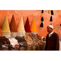 Morocco Day Trip from Cadiz or Jerez to Tangier