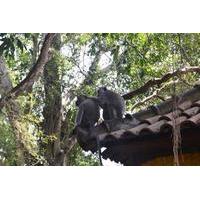 Monkey Forest and Ubud Art Tour in Bali