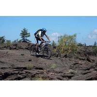 Mount Etna Mountain BikeTour