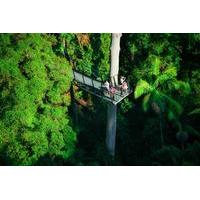 Mount Tamborine Day Trip from the Gold Coast Including Skywalk