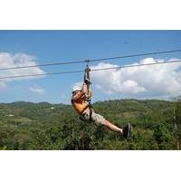 Montego Bay Canopy Zipline and Safari Tour