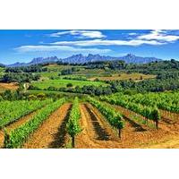 Montserrat and Penedès Guided Day Tour from Barcelona