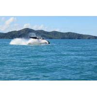 morning or afternoon whitsundays whale watching cruise from airlie bea ...