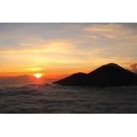 Mount Batur Sunrise Hiking and Coffee Plantation Tour
