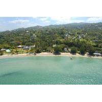 montego bay sightseeing and shopping tour