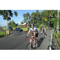 Morning Road Bike Tour in Bali Village