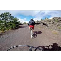 Mountain Bike Tour on Mount Etna