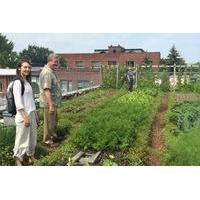 Montreal Urban Agriculture and Sustainable Food Tour by Bike