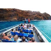 Molokini Wild Side: Snorkel And ...