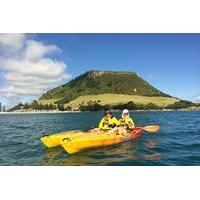 Mount Maunganui Kayaking Adventure