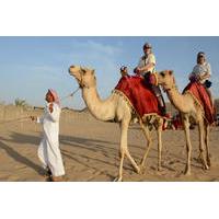 Morning Camel Trekking Safari from Dubai